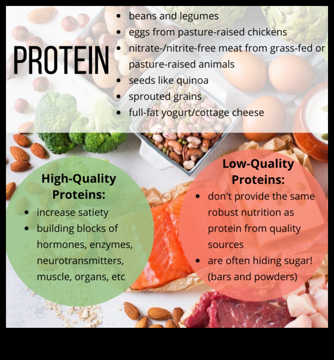 Dengeli Beslenmede Proteinlerin Rolü