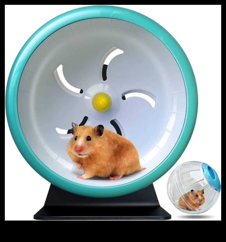 Hamster tekerlek güvenliği devam etti: Sağlıklı bir egzersiz rutininin teşvik edilmesi