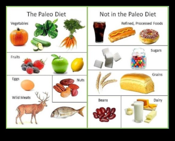 Paleo diyeti ne yemeli ve kaçınmalı