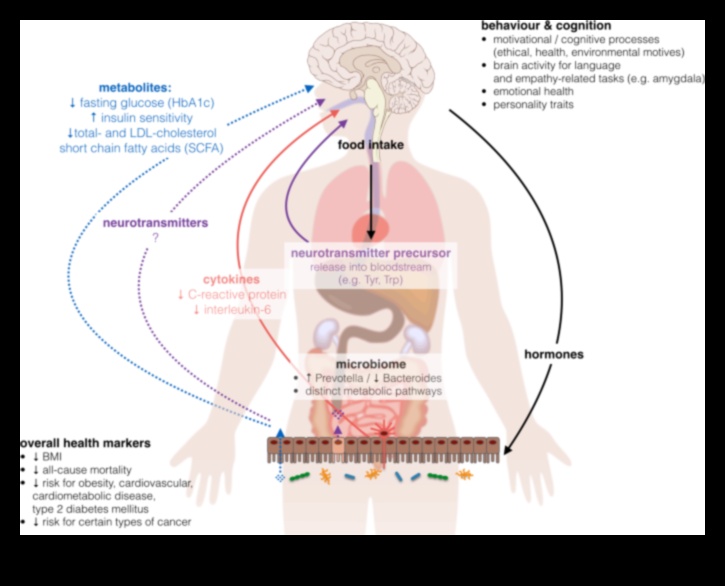 Vejetaryenlik ve hormonal denge: içgörü ve ipuçları